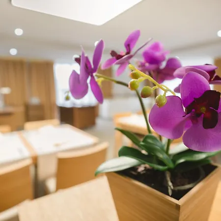 Village Hanuliak Hotel 4*